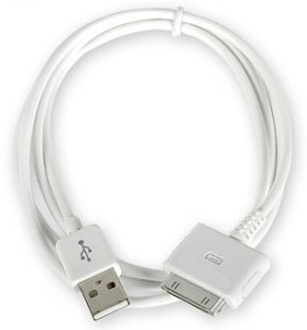 Câble USB pour bloc chargeur Apple